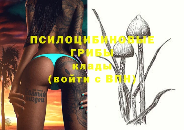 ECSTASY Абинск