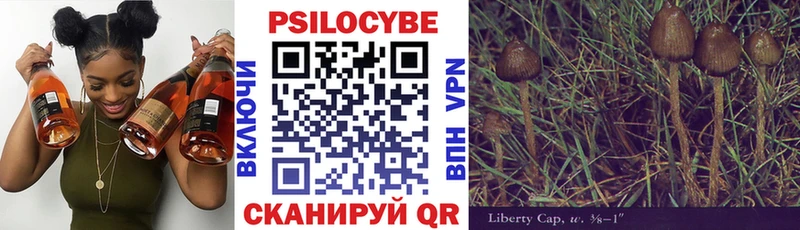 закладки Чердынь Галлюциногенные грибы Cubensis